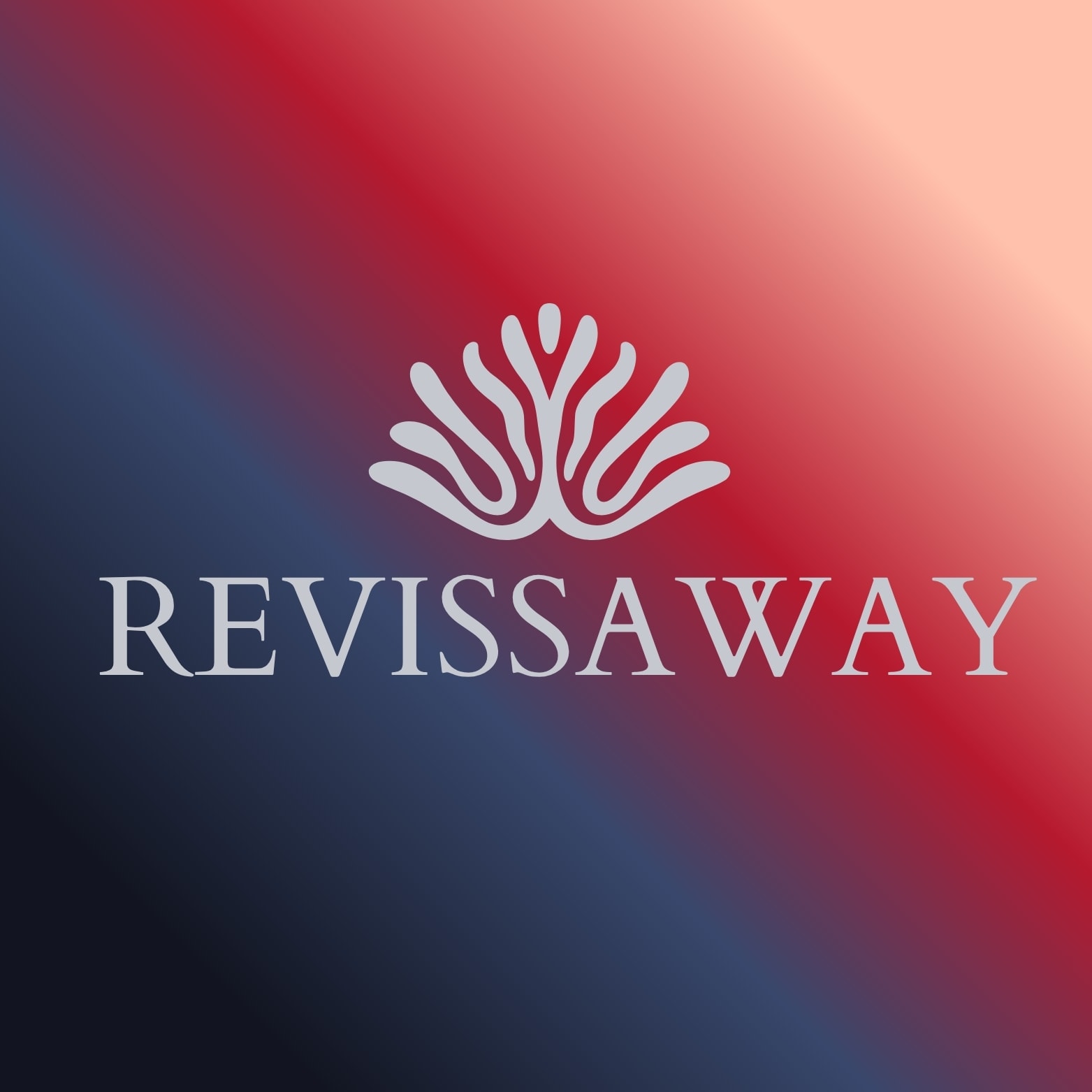 RevissaWay About Visual